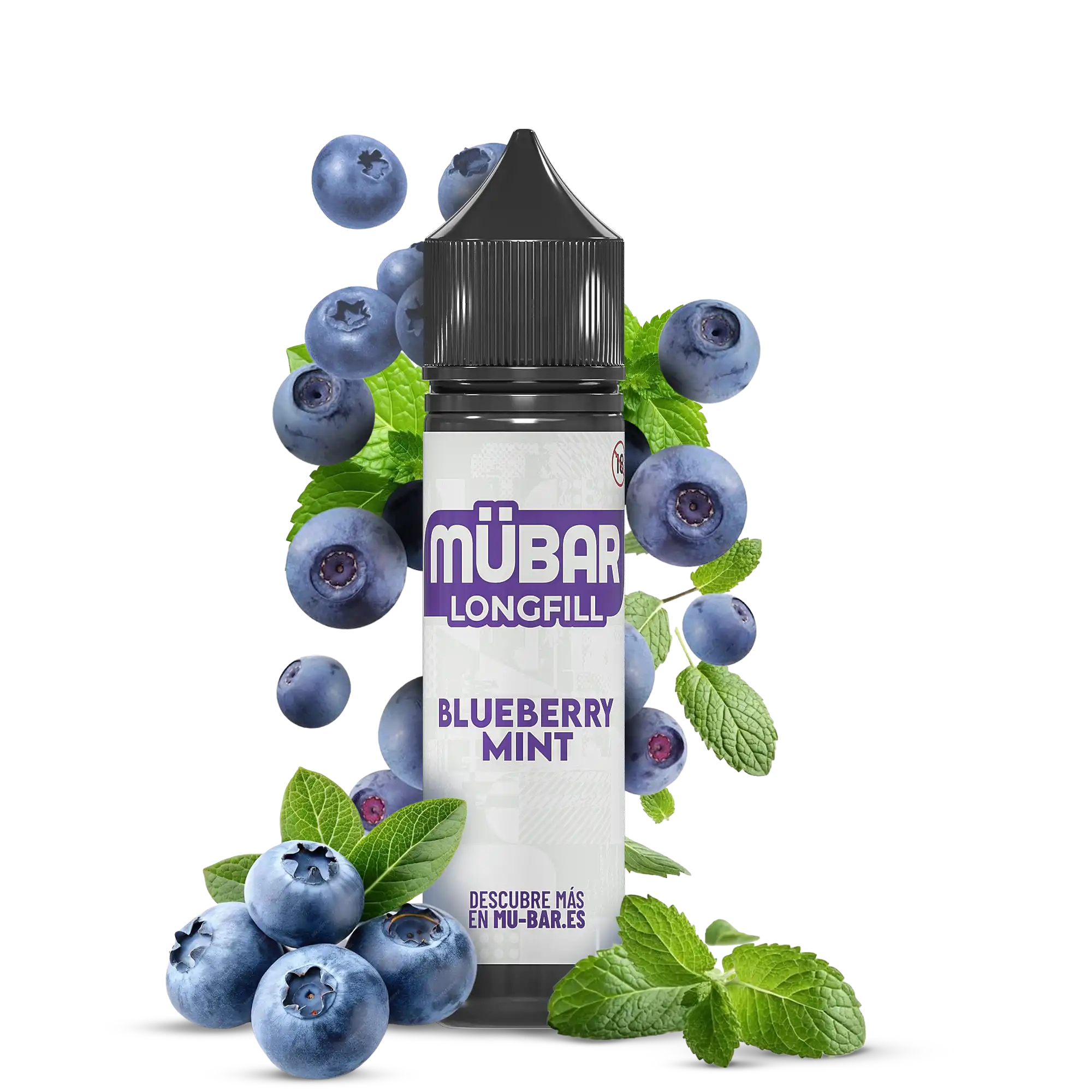 BLUEBERRY MINT